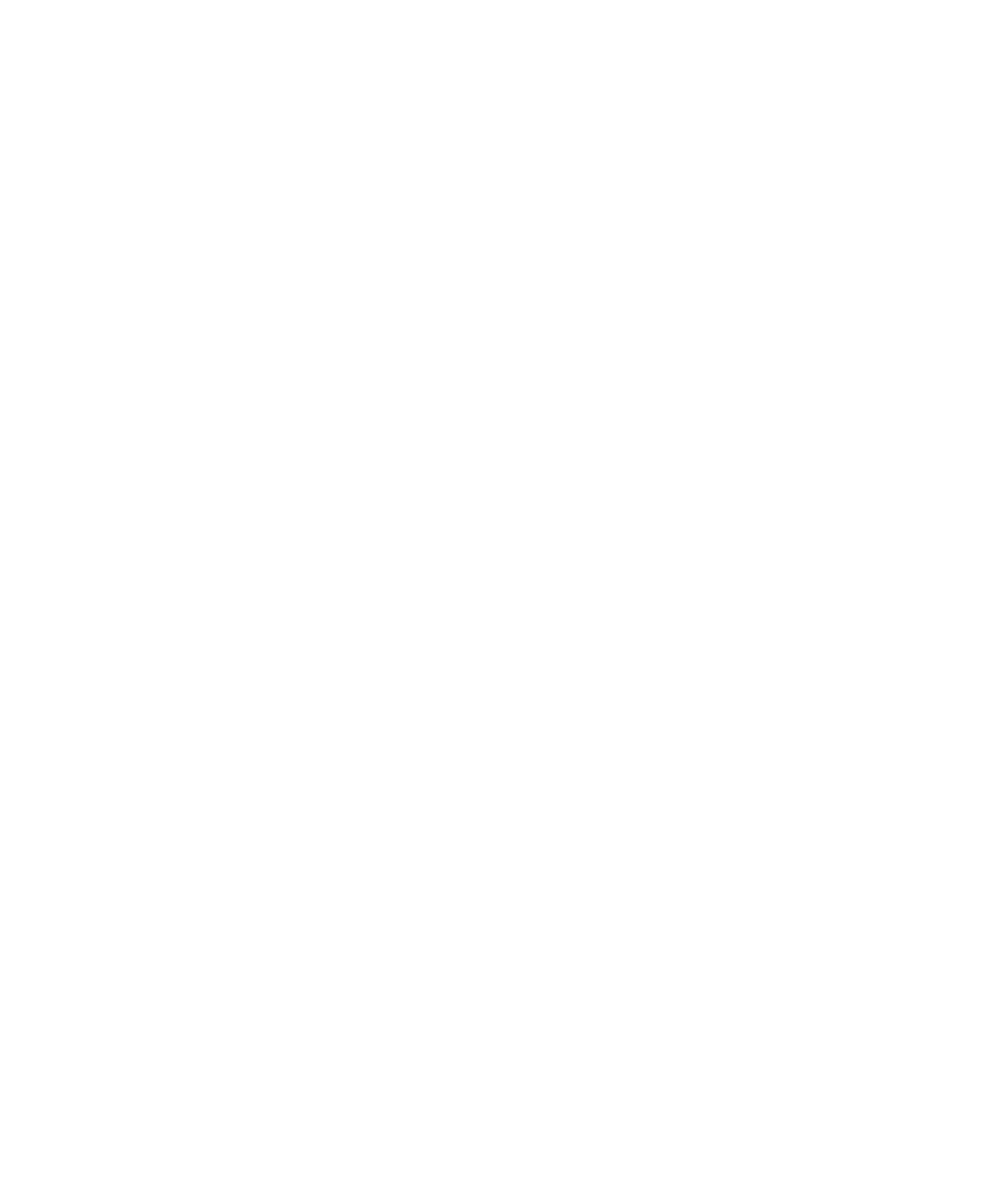 365 Air Cadets